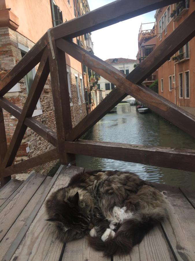 Ferienwohnung Mori 3, In Centro Storico Di Venezia Exterior foto